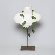Petali Long – Collana